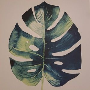 Meet your Posher, Shelly